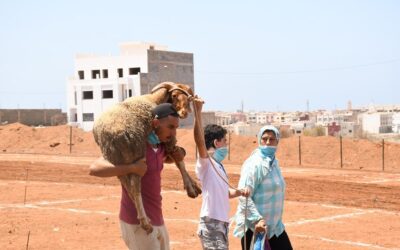 Guía para Elegir tu Udhiya en Eid Al-Adha