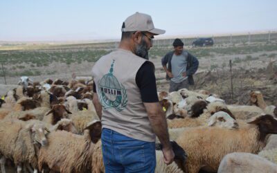Celebrando el Sacrificio: Impacto del último Eid al-Adha en Palestina y Marruecos